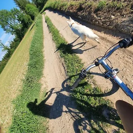 Casa vacanze L'atelier Normand *