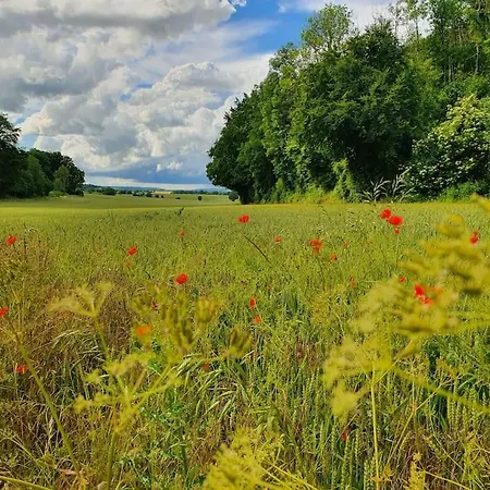 L'atelier Normand * La Couture-le Roy