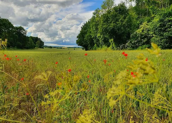 L'atelier Normand * La Couture-le Roy