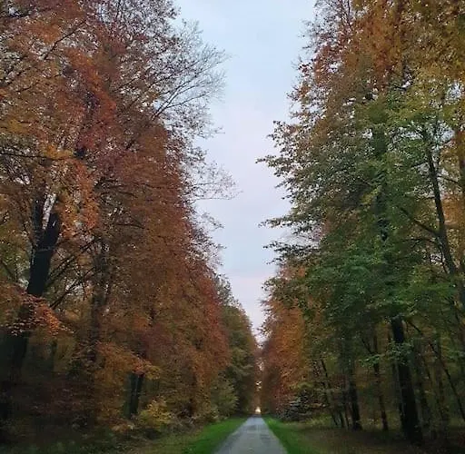 L'atelier Normand Dom wakacyjny La Couture-le Roy